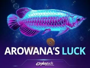 Arowanas Luck game screenshot